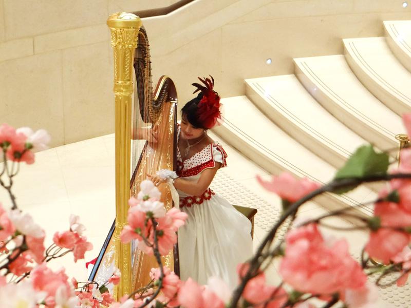 harp chinese new year3