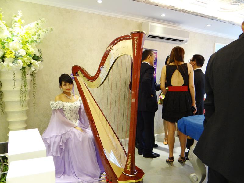 harp love and care event 2
